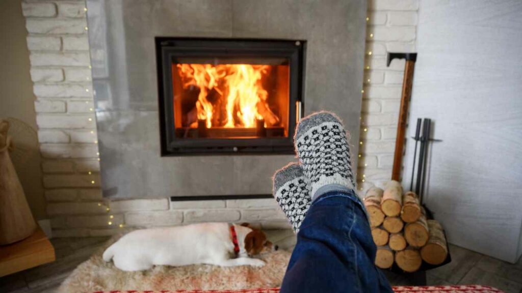 Concrete wood burning fireplace with dog sleeping in front. Wood burning brightly.
