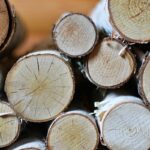 Is Birch A Good Choice For Firewood In Your Home?