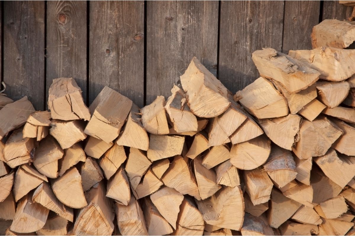 Is Maple Good Firewood?