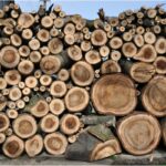 Is Walnut Good Firewood