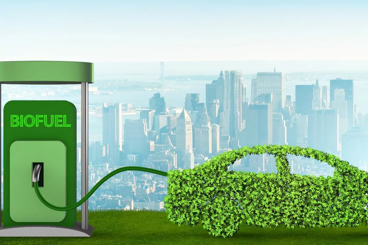 Green Energy: The Basics of Bio Ethanol Fuel