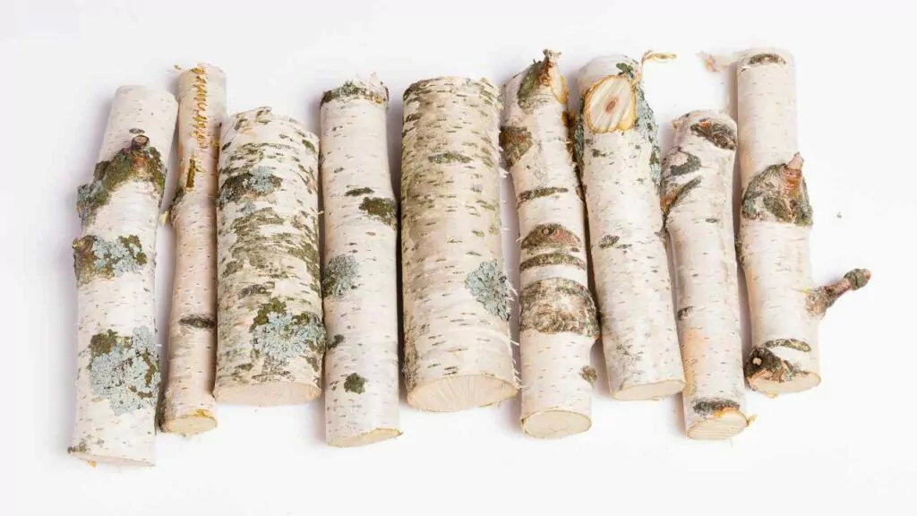 Pil of birch logs with bark on