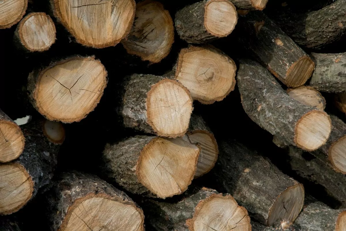 How To Dry Firewood Quickly?