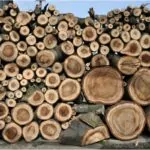 Is Walnut Good Firewood